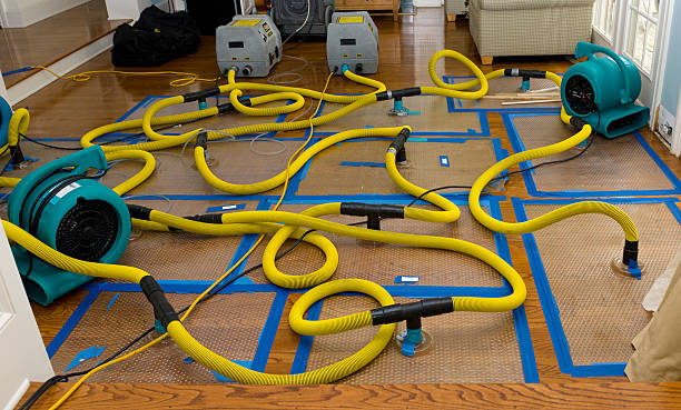 Professional Crawl Space Water Removal technician working in Fallston, MD
